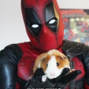 Meet your Posher, Maureen